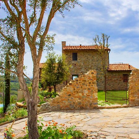 Villa Privata Con Piscina A Riparbella Castellina Marittima Dış mekan fotoğraf