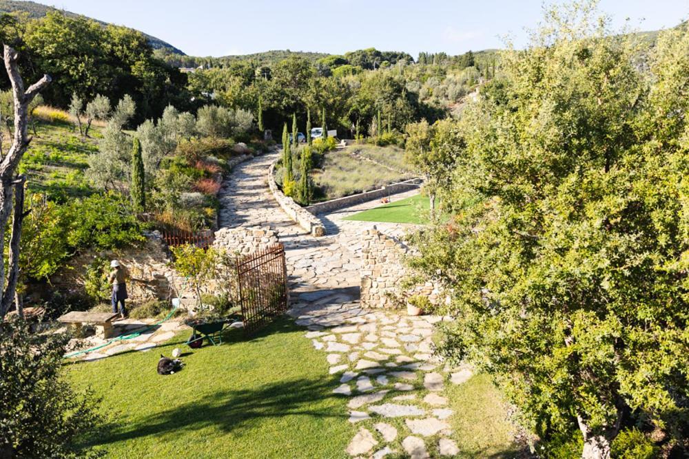 Villa Privata Con Piscina A Riparbella Castellina Marittima Dış mekan fotoğraf